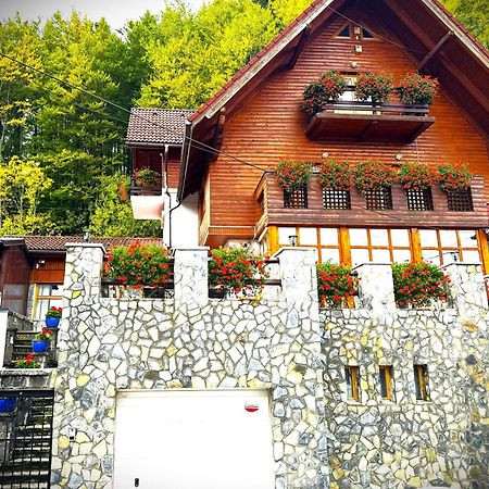 Hotel Alisio Sinaia Zewnętrze zdjęcie